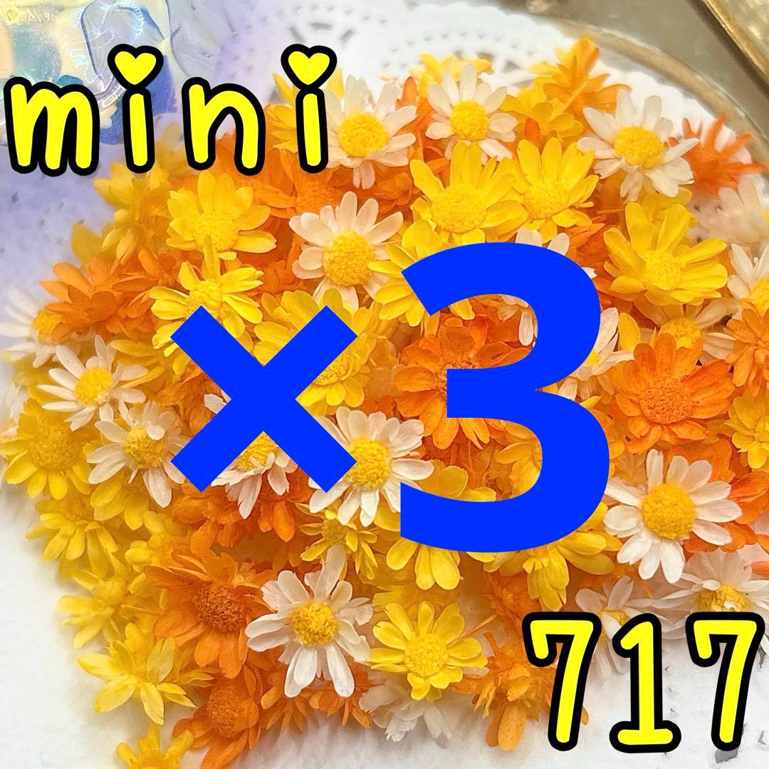 ほののページ✩.*˚