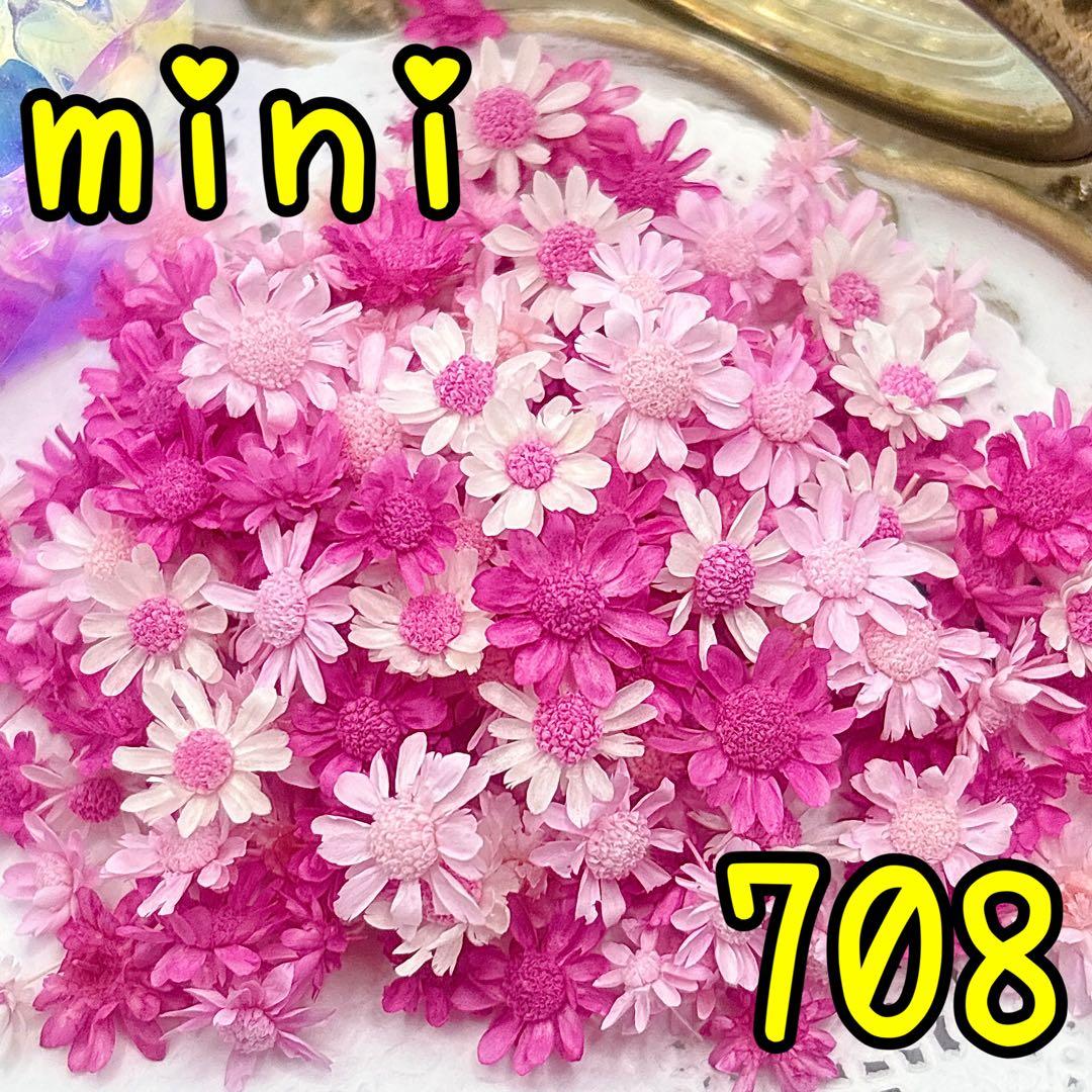 ほののページ✩.*˚