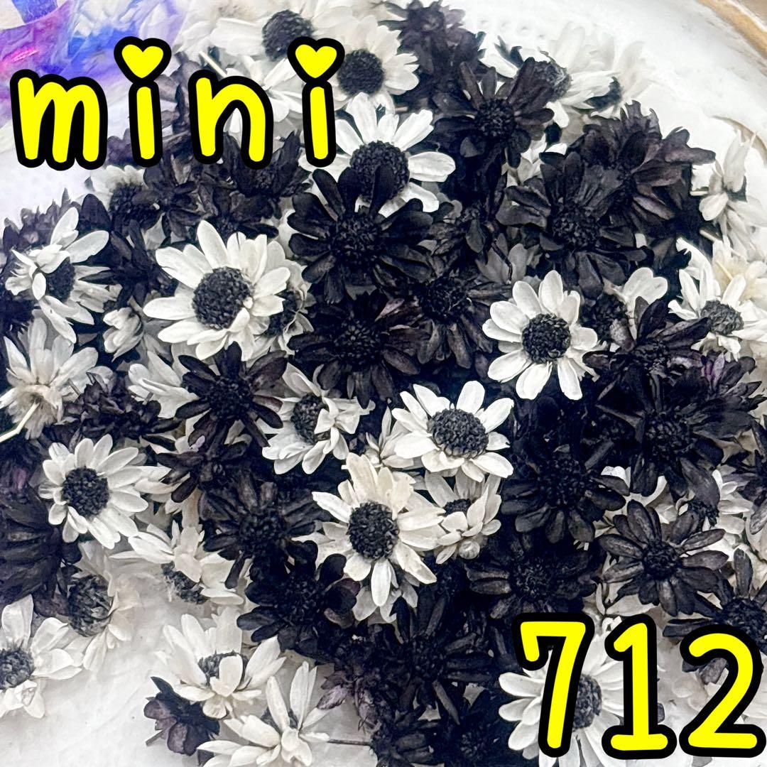 ほののページ✩.*˚