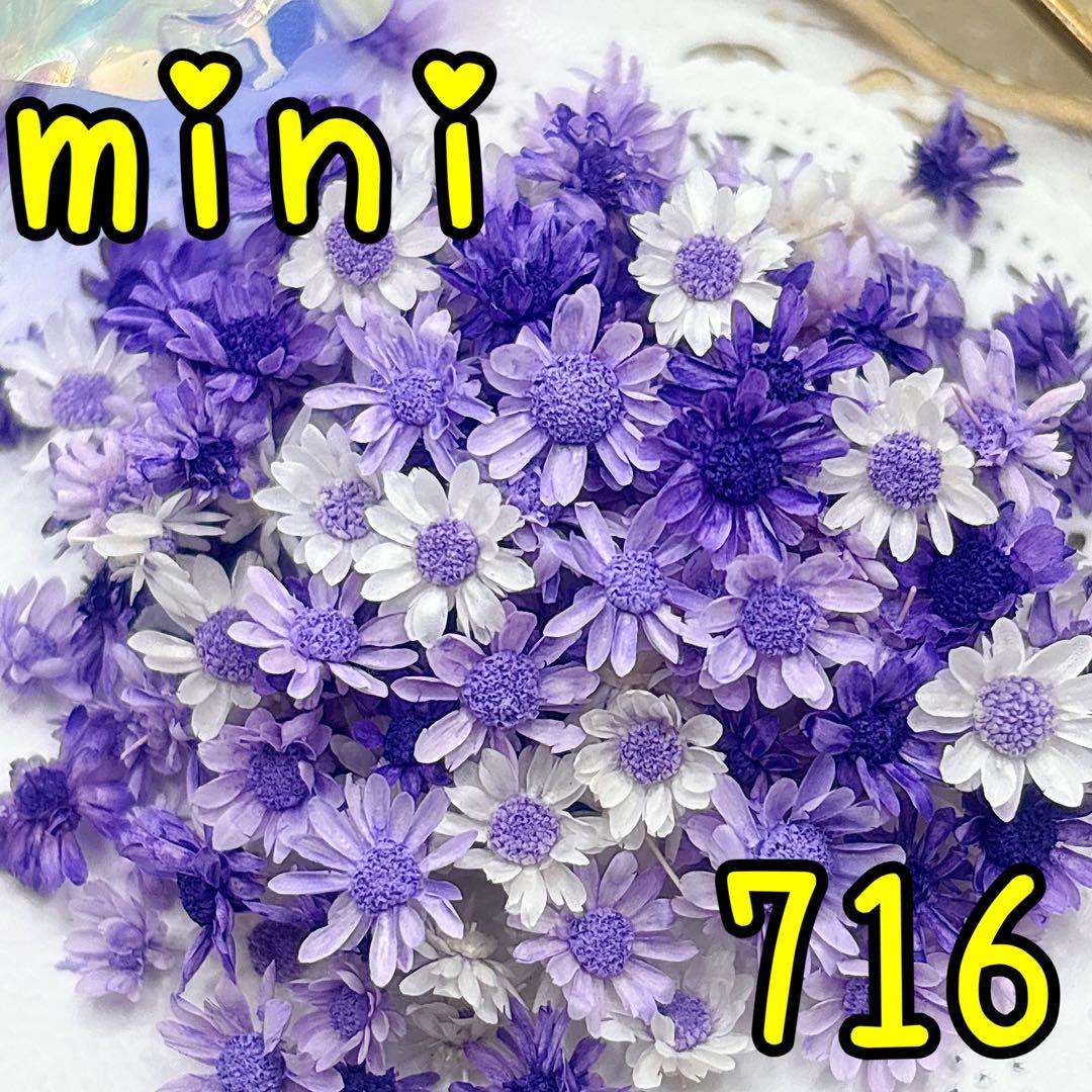 ほののページ✩.*˚