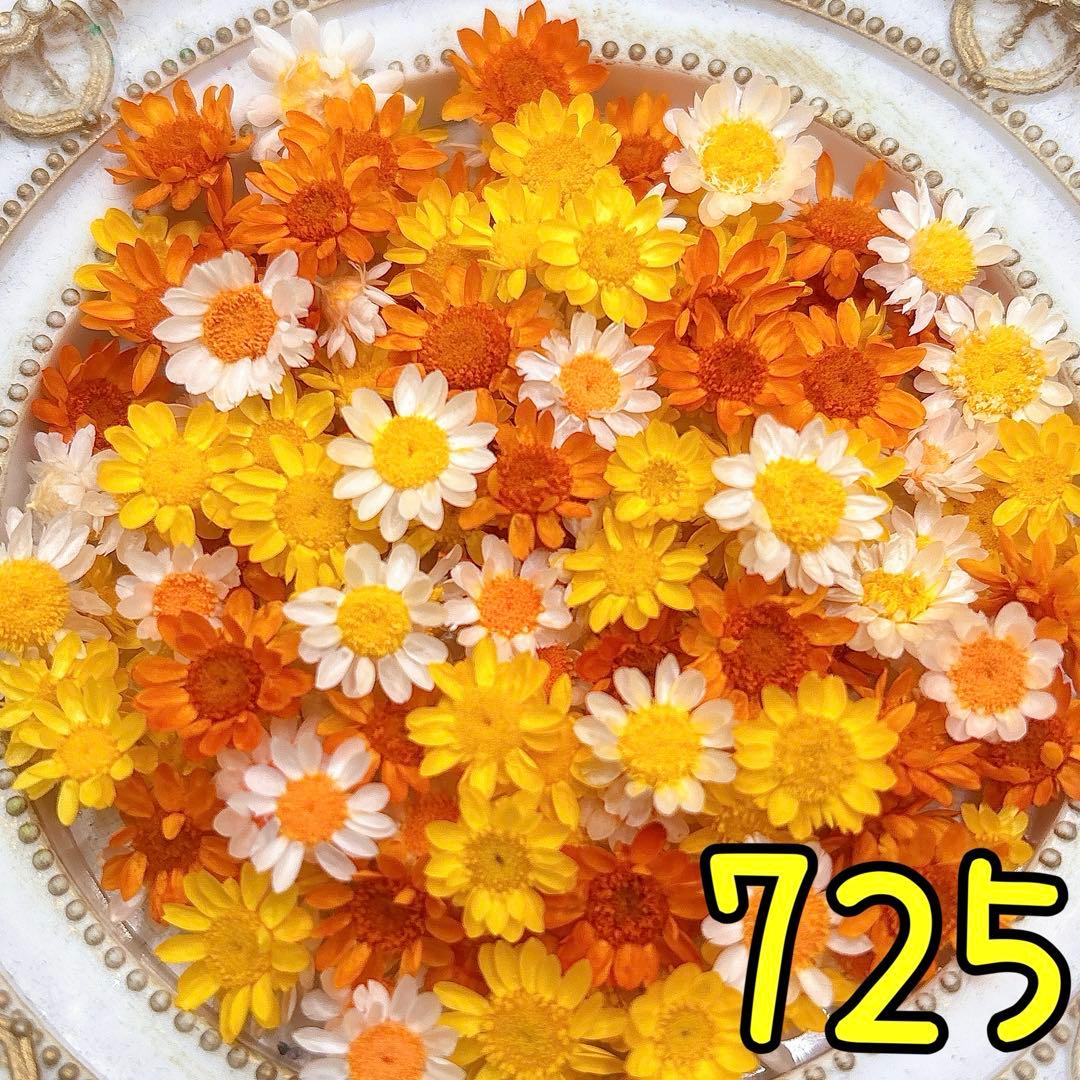 ほののページ✩.*˚