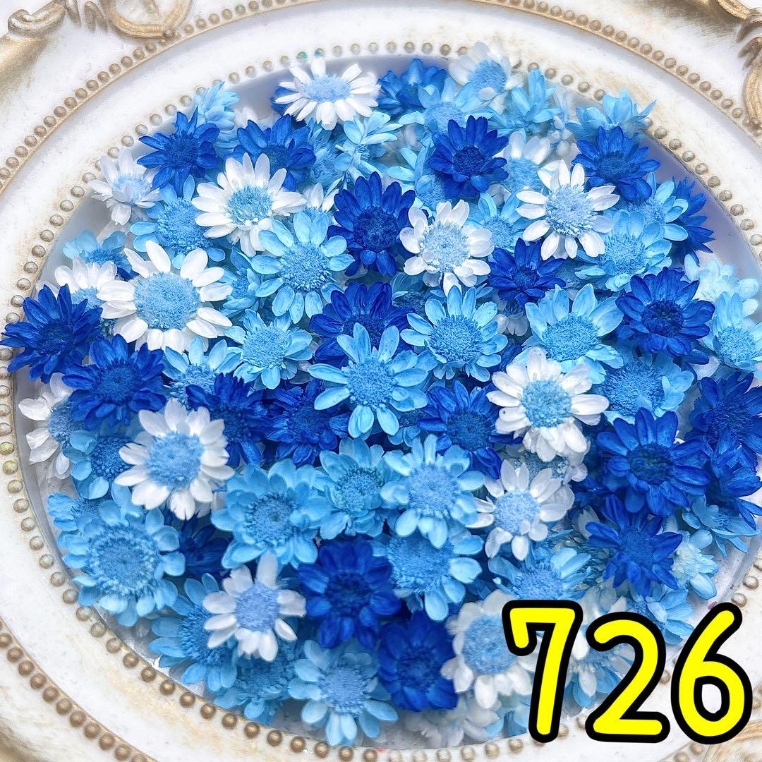 ほののページ✩.*˚