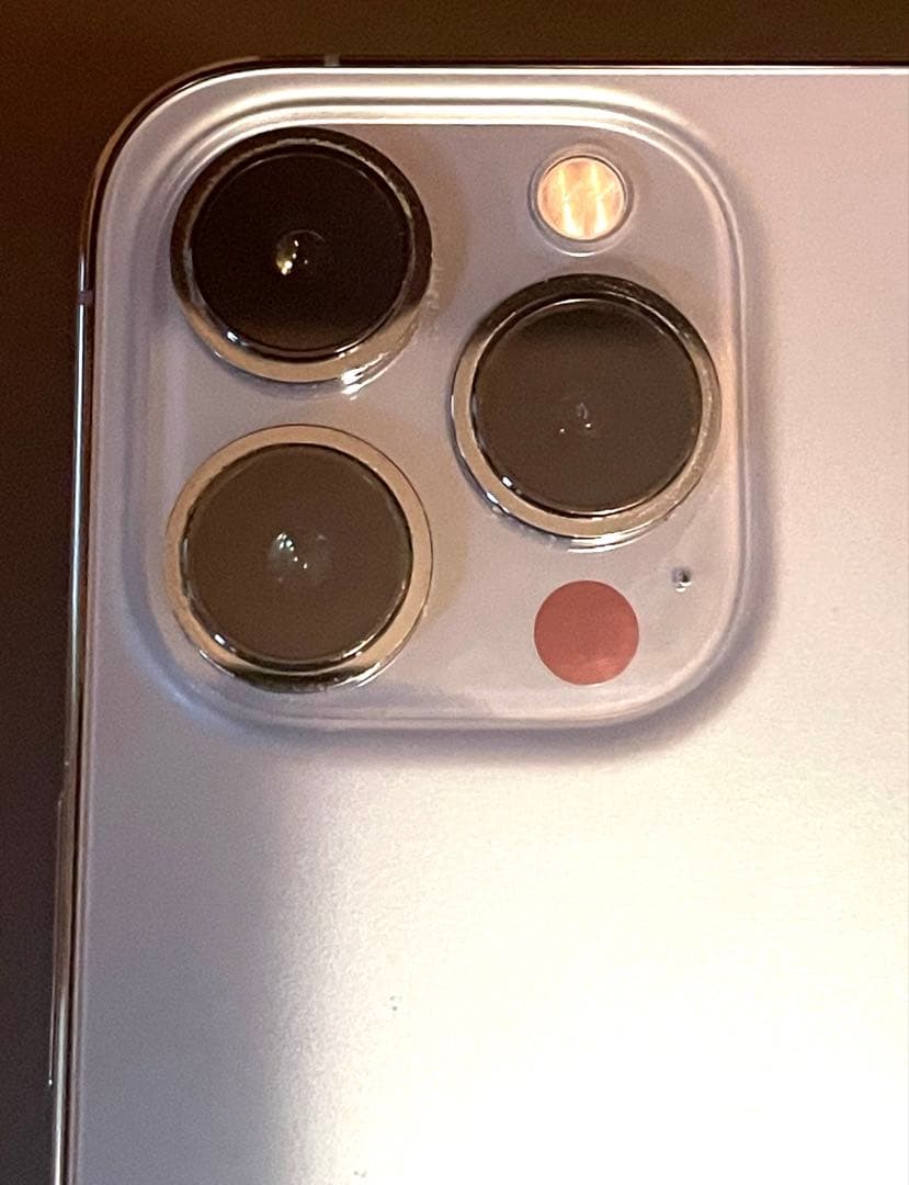 ザキーさん専用 美品iPhone13pro シエラブルー