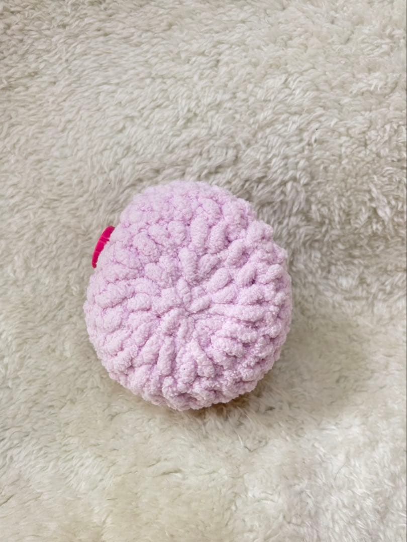 あぃページ　たまごっちパラダイスカバー