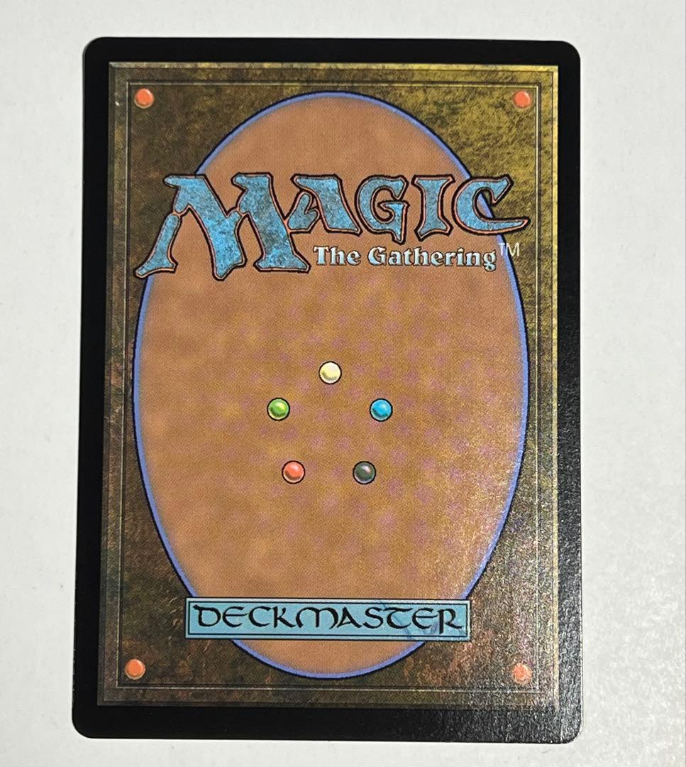 MTG 行き届いた書庫 ボーダーレス Foil 日本語版