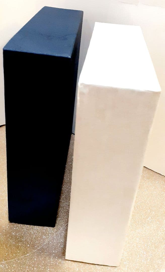 貴重！浄法寺塗❁︎漆器❁︎未使用❁︎注意点あり！ 朱色 黒