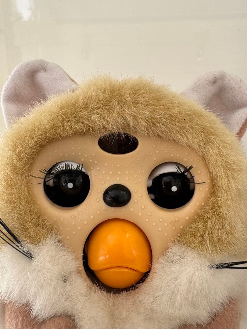 トンクリ tonkuri ファービー