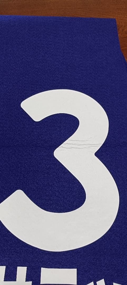 【パンサラッサ】レプリカゼッケン（天皇賞・秋　２着） 競馬 JRA