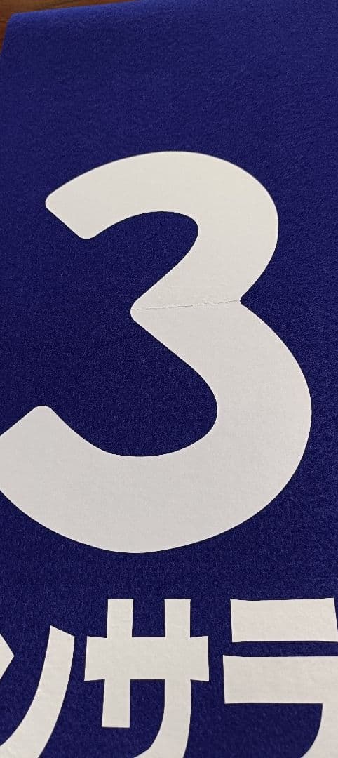 【パンサラッサ】レプリカゼッケン（天皇賞・秋　２着） 競馬 JRA