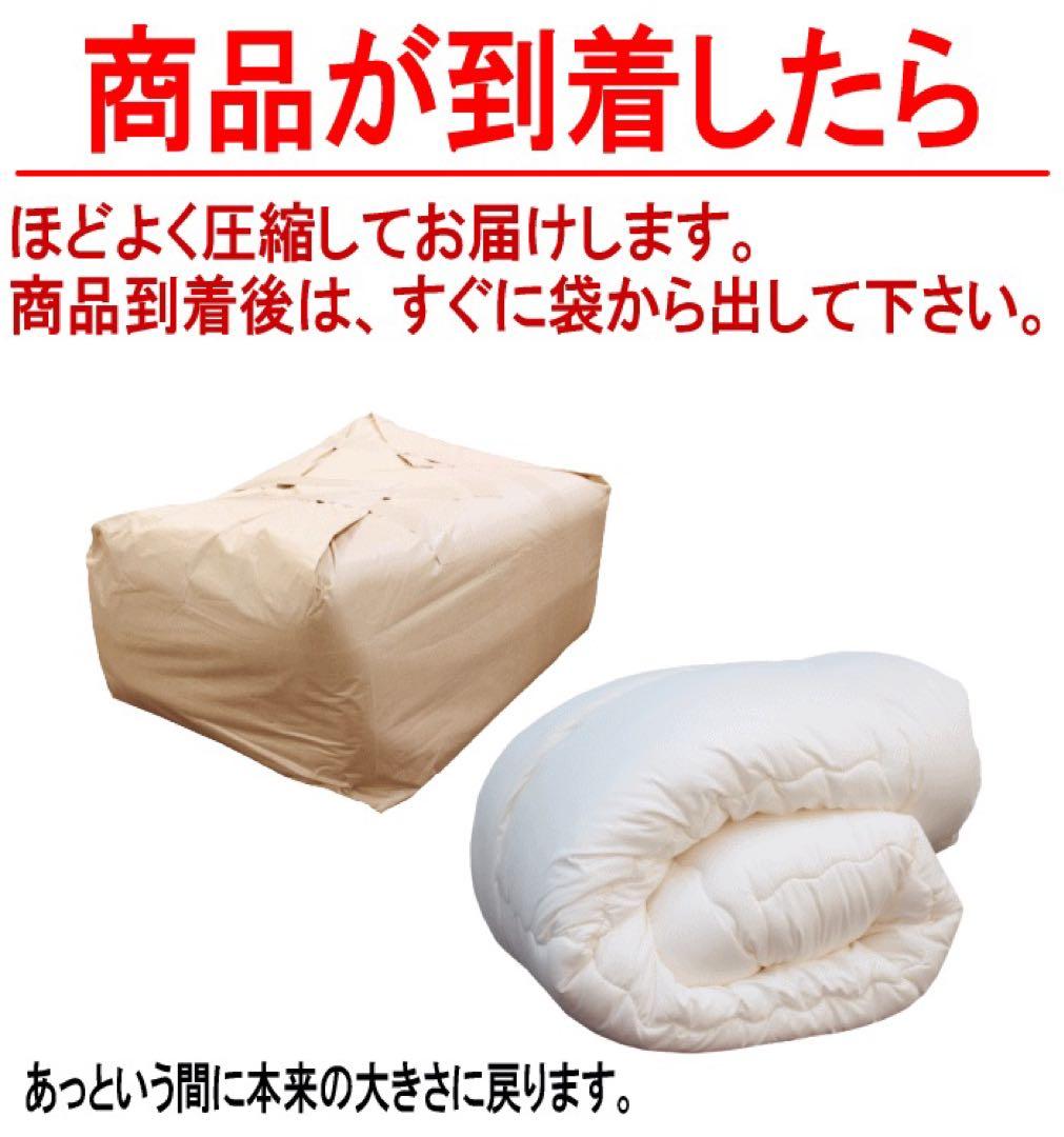 掛け布団 セミダブル テイジン フィルケア 抗菌 防臭 洗える 掛布団 日本製