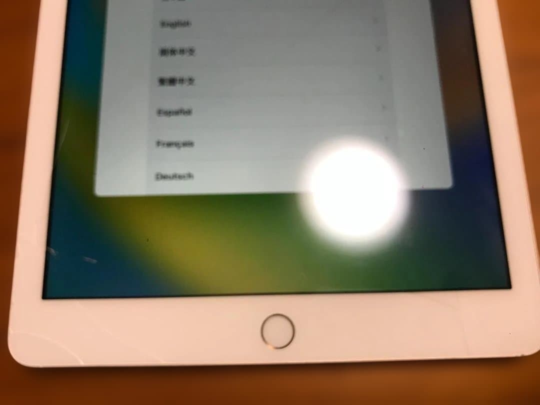 iPad 第6世代 32GB セルラーモデル ピンクゴールド【表示・動作確認済】