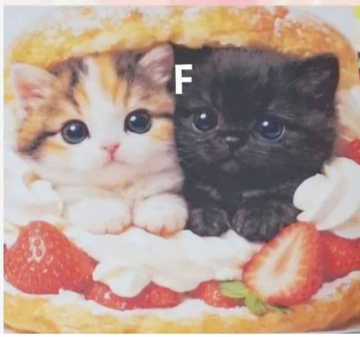 クロム様♥️オーダーページ⑧♥️ハンドメイド品　猫　ポーチバッグ等