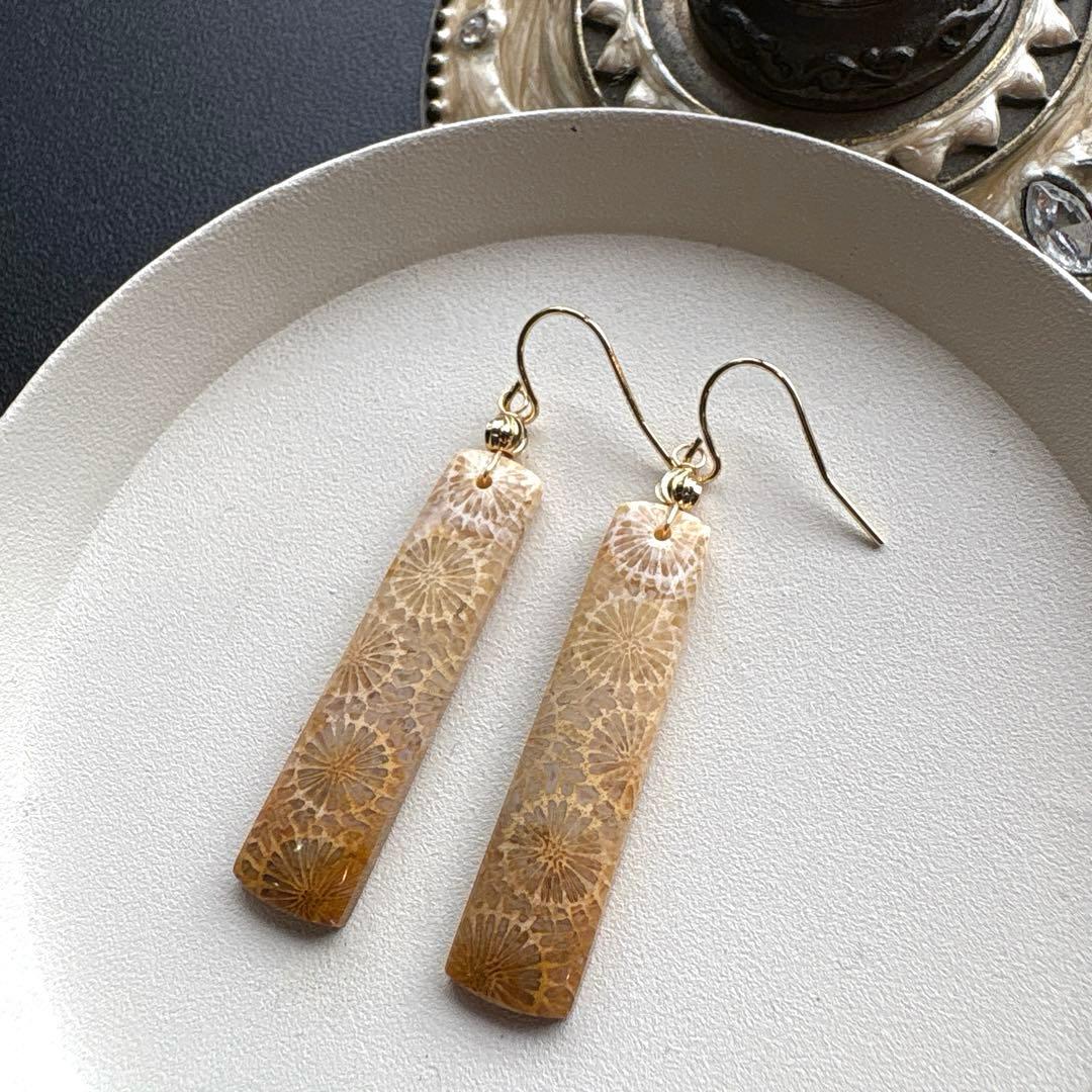 《のほほん様》フォッシルコーラルレクタングル&アイアゲート＊ピアスorイヤリング