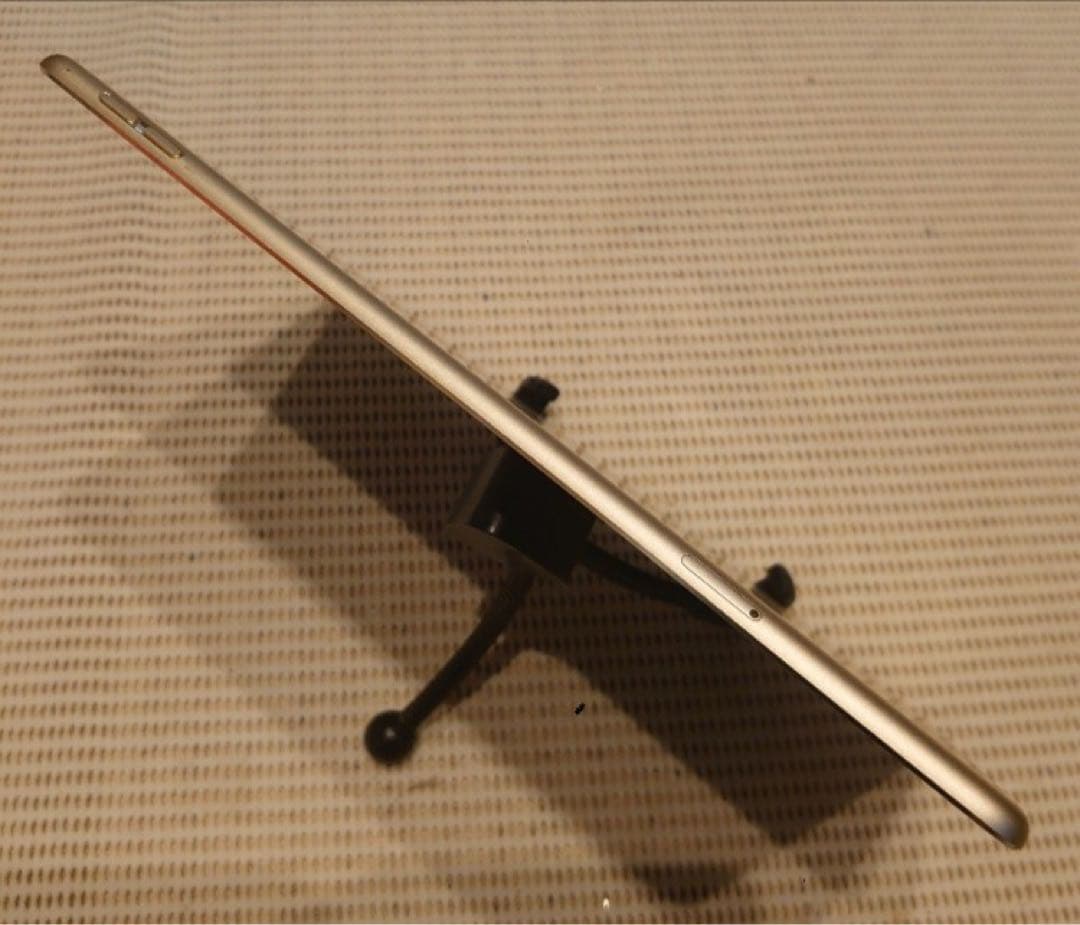 DMPQ9完動品iPad Air2(A1567)本体64GBドコモ送料込