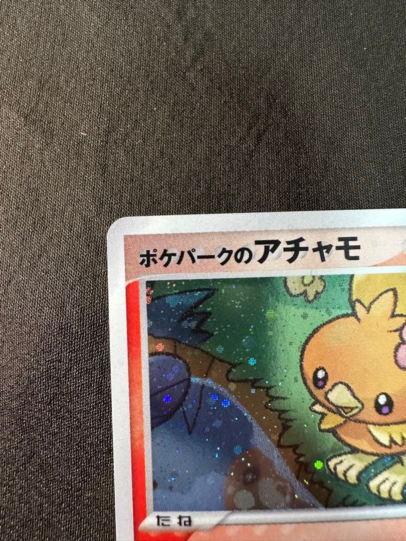 美品・特価　ポケパークのアチャモ　ポケパークプレミアムファイル 002/009