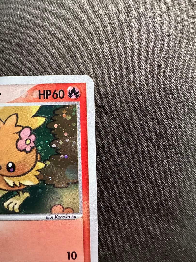 美品・特価　ポケパークのアチャモ　ポケパークプレミアムファイル 002/009