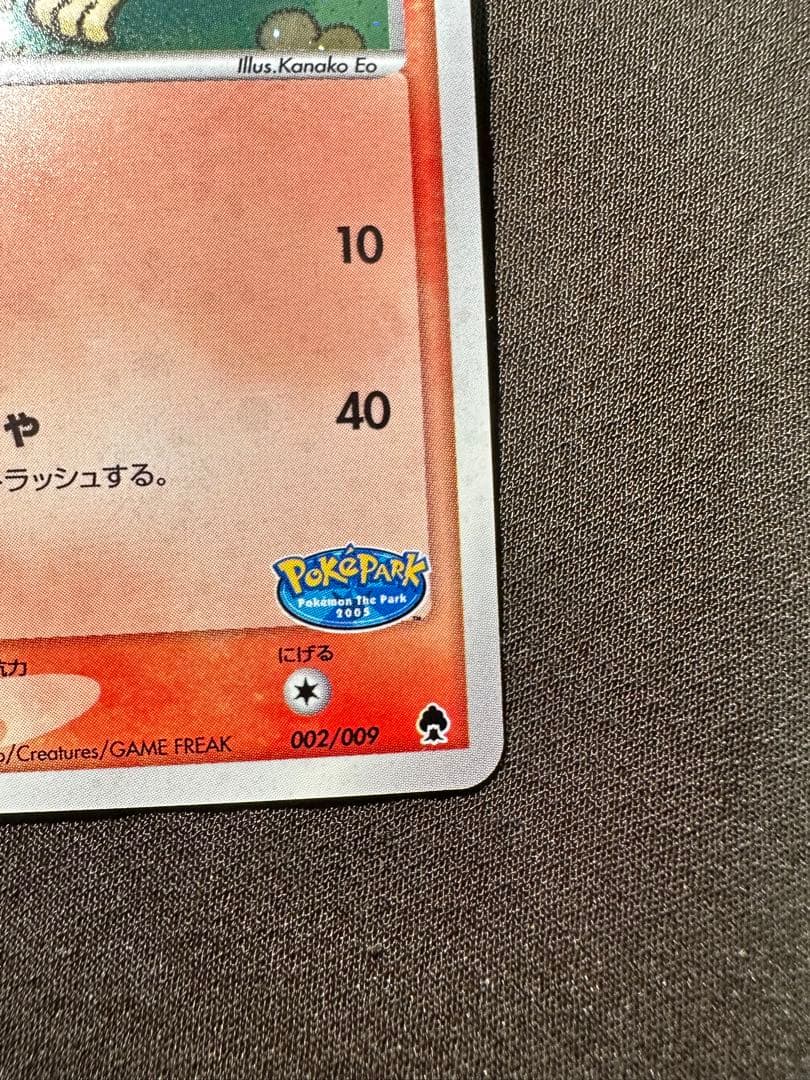 美品・特価　ポケパークのアチャモ　ポケパークプレミアムファイル 002/009