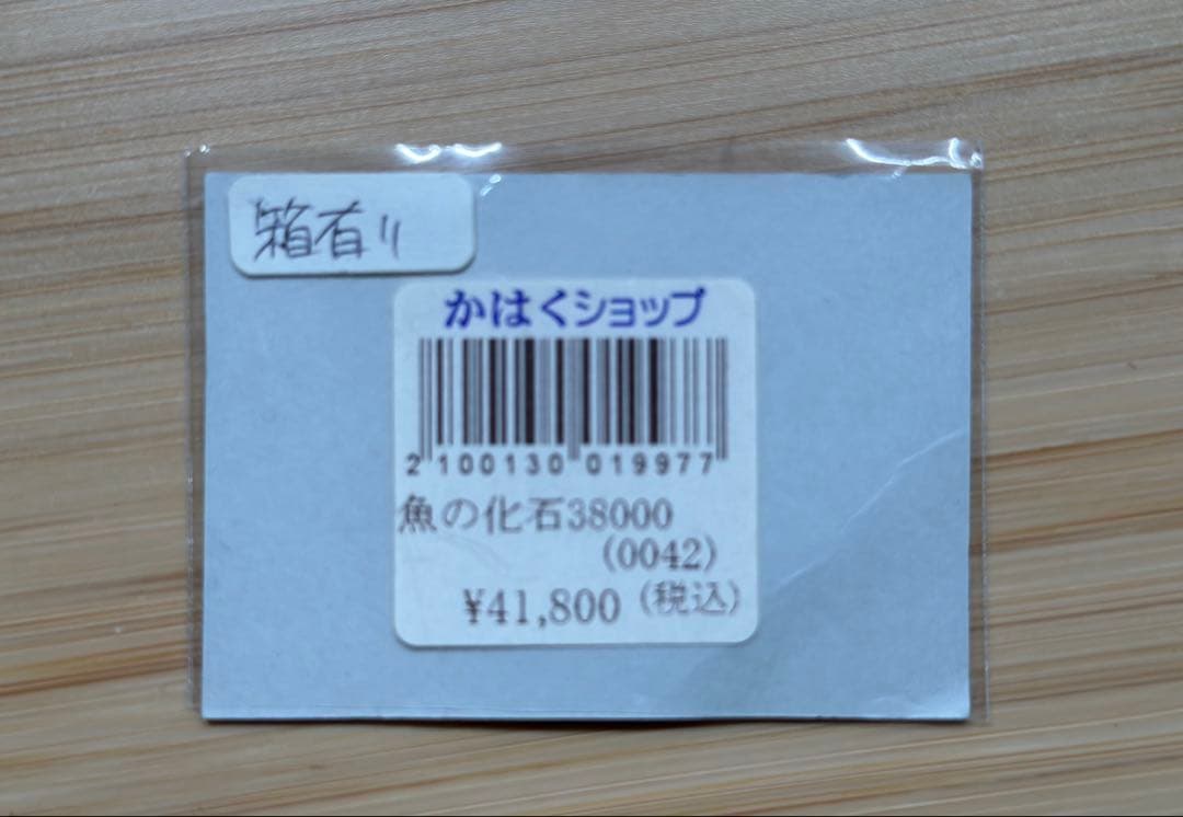 化石魚 フレーム付き 5000万年前(新世代/第三紀•始新世) 科学博物館 土産