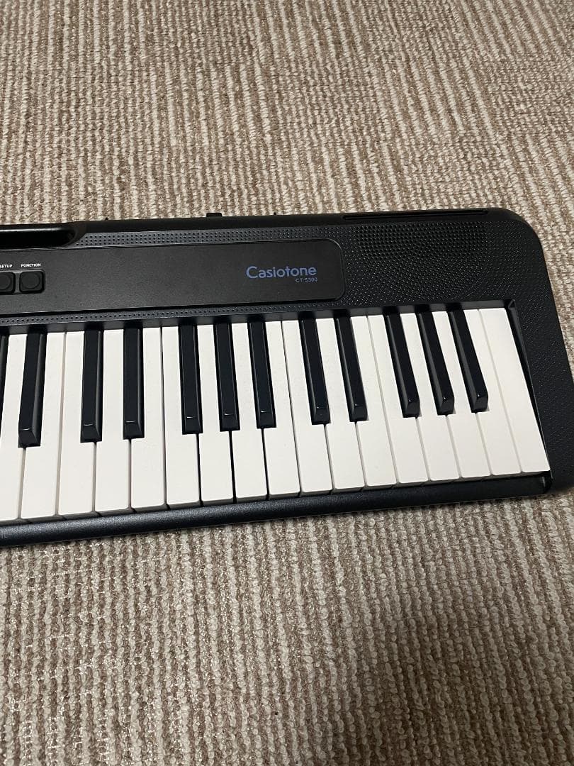 カシオトーンCT-S300