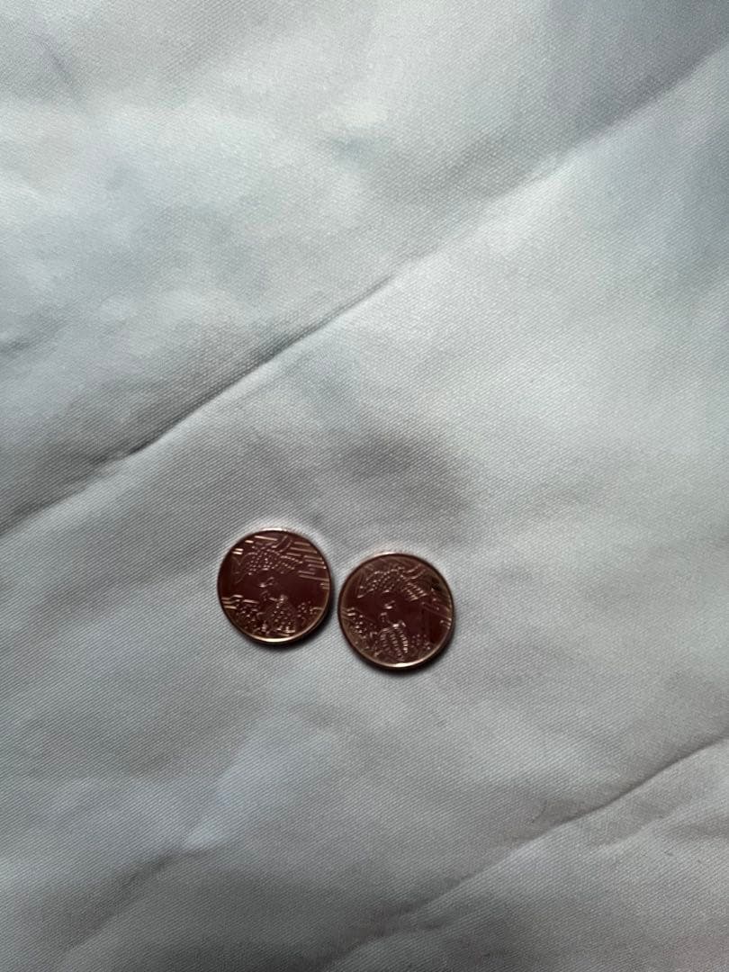 福寿デザイン  2枚セット