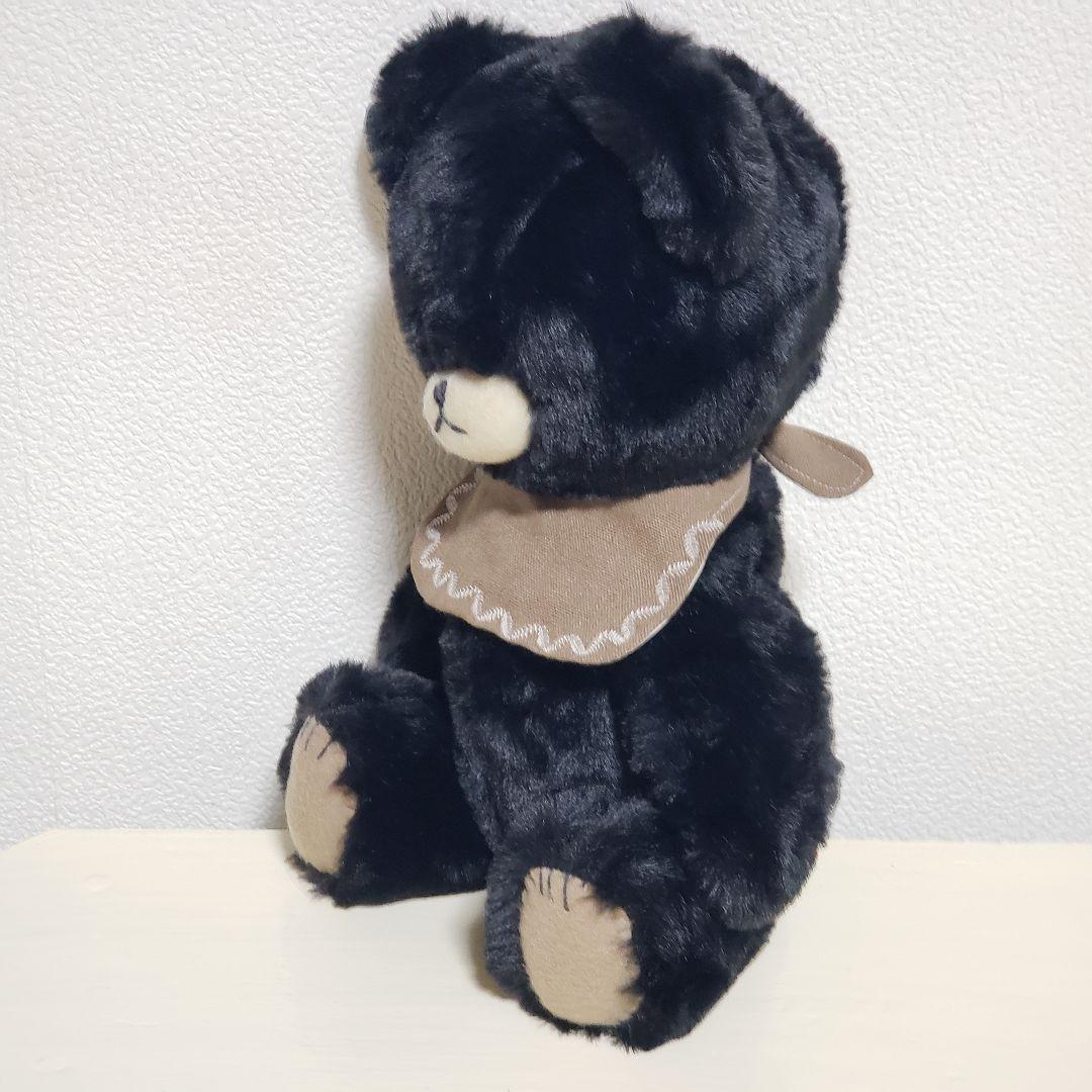 No.599 テディベア　BD 2025.9.22 ブラック×スタイ