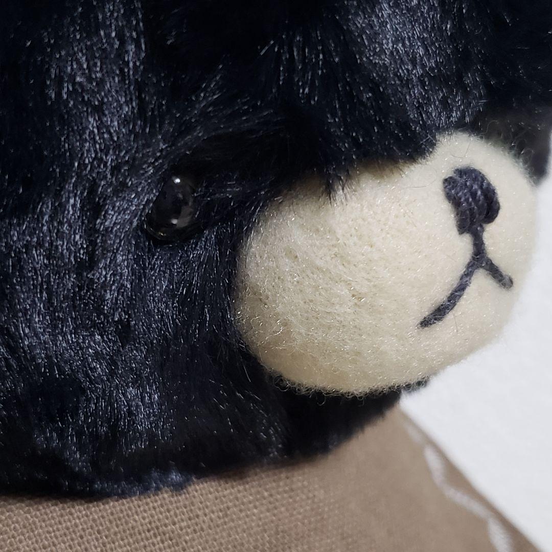 No.599 テディベア　BD 2025.9.22 ブラック×スタイ