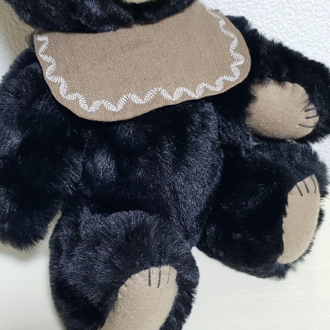 No.599 テディベア　BD 2025.9.22 ブラック×スタイ