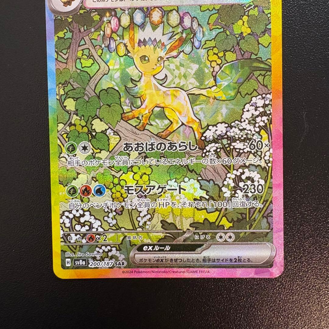 【美品】リーフィアEX SAR ローダー付き