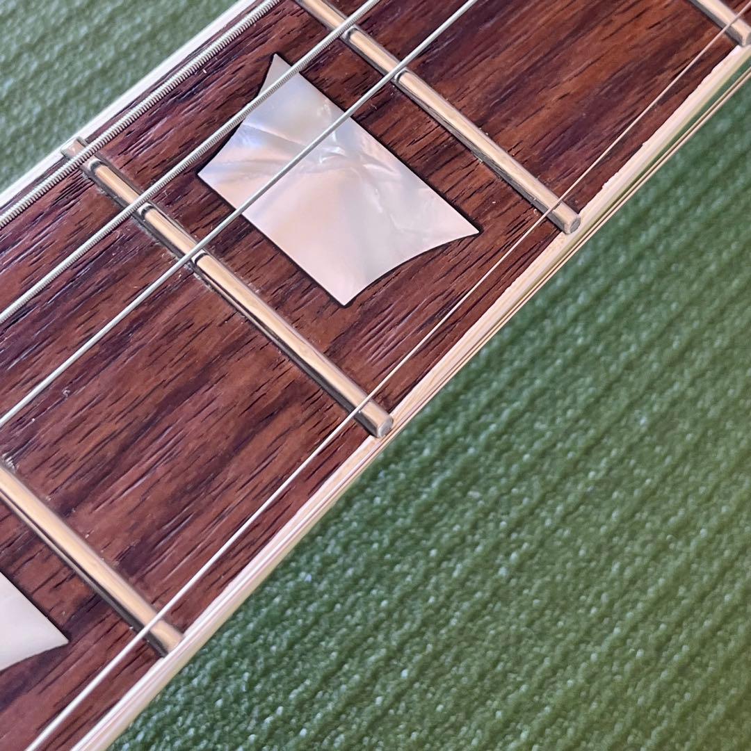 【日本製】FUJIGEN フジゲン SGタイプCoolZ ZSG-1★CFS