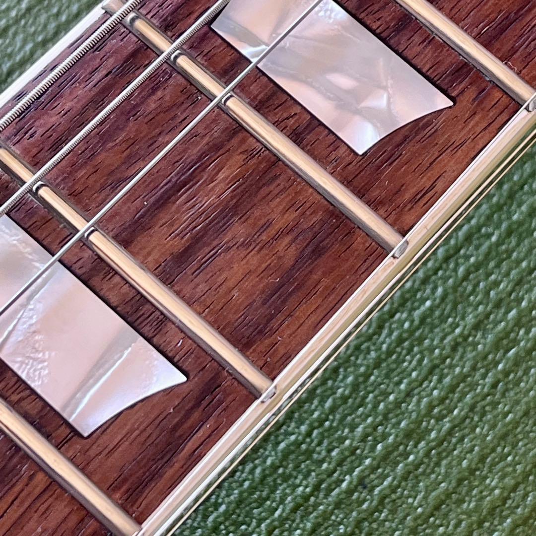 【日本製】FUJIGEN フジゲン SGタイプCoolZ ZSG-1★CFS