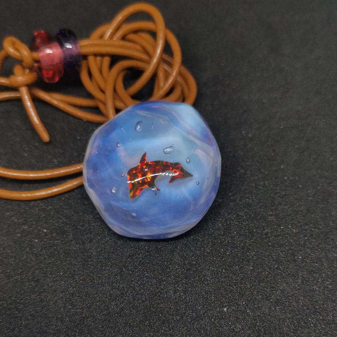 ノーザンライツ　（水）ジンベイザメ