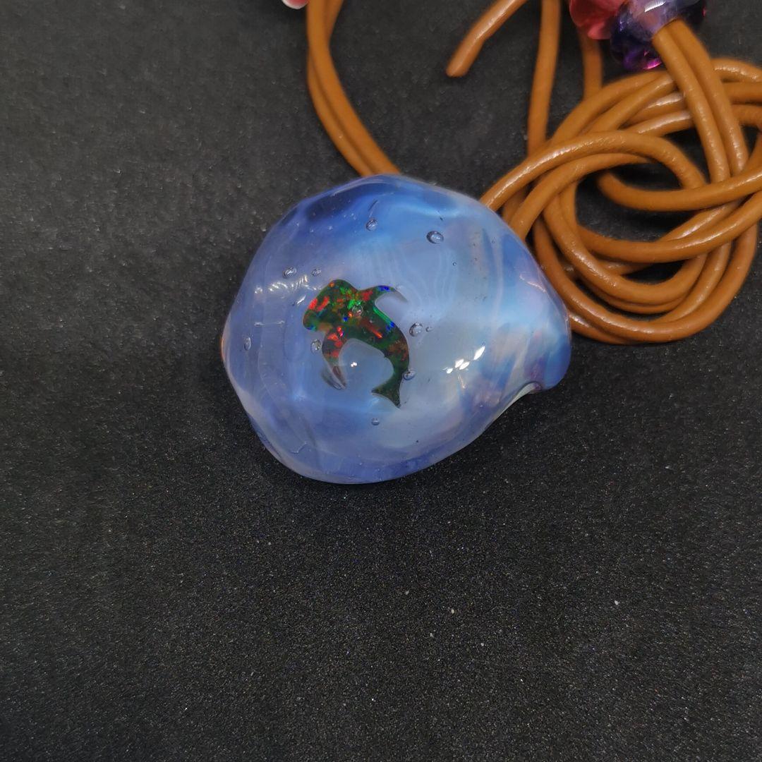 ノーザンライツ　（水）ジンベイザメ