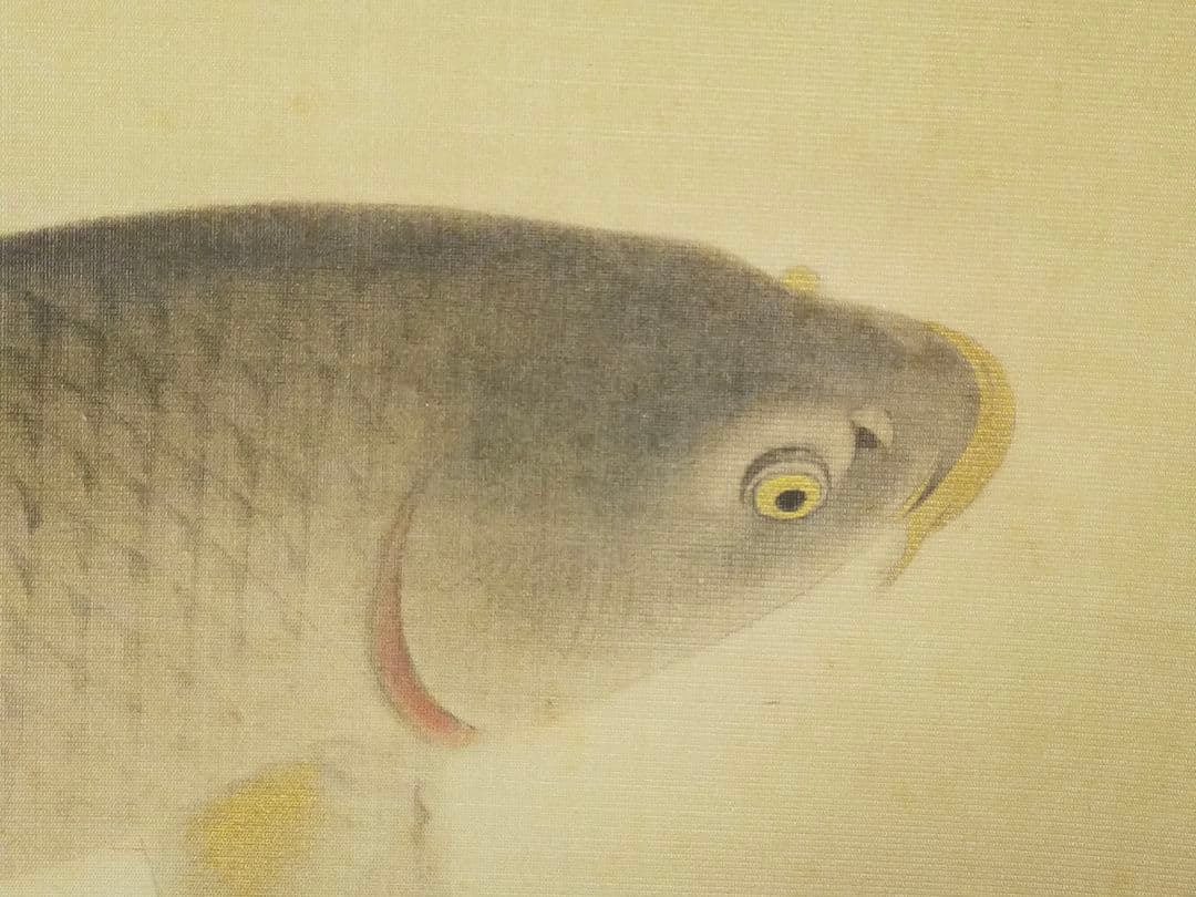 ♥【模写】　掛軸　菱田春草　遊鯉図　桐箱付き　掛け軸　骨董品