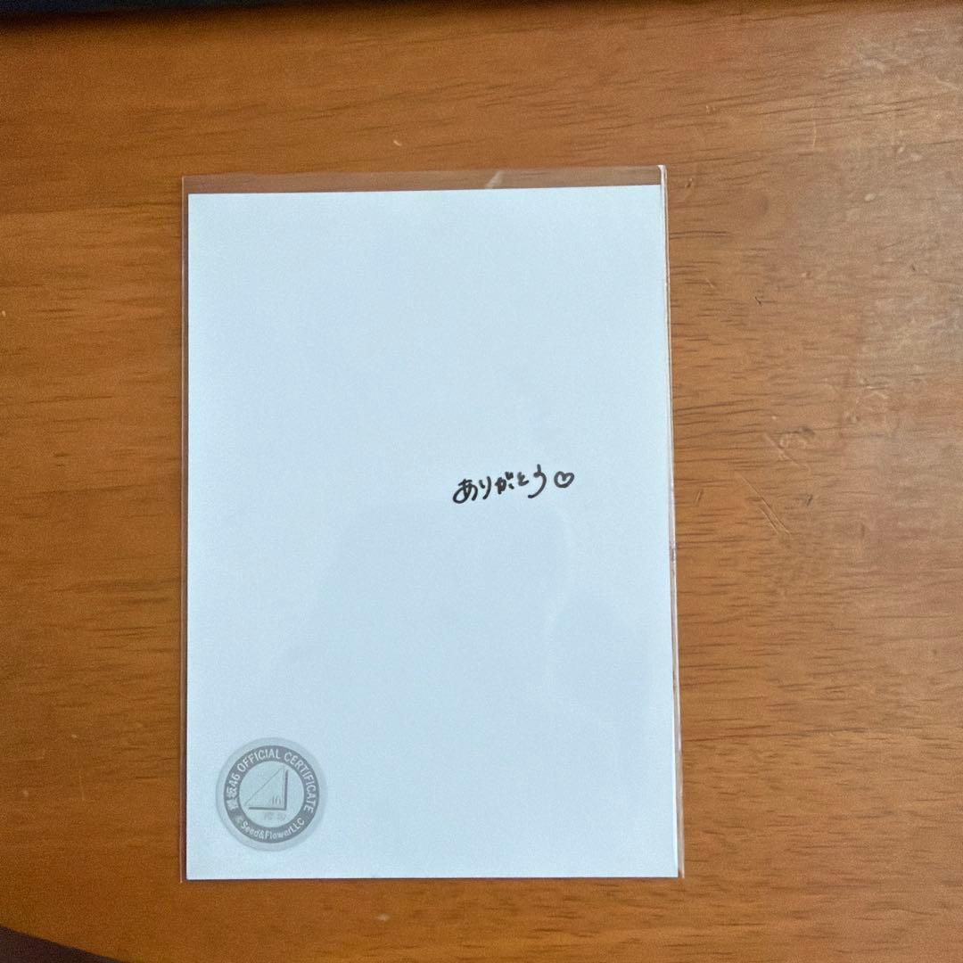 櫻坂46 松本和子 直筆 サイン 生写真