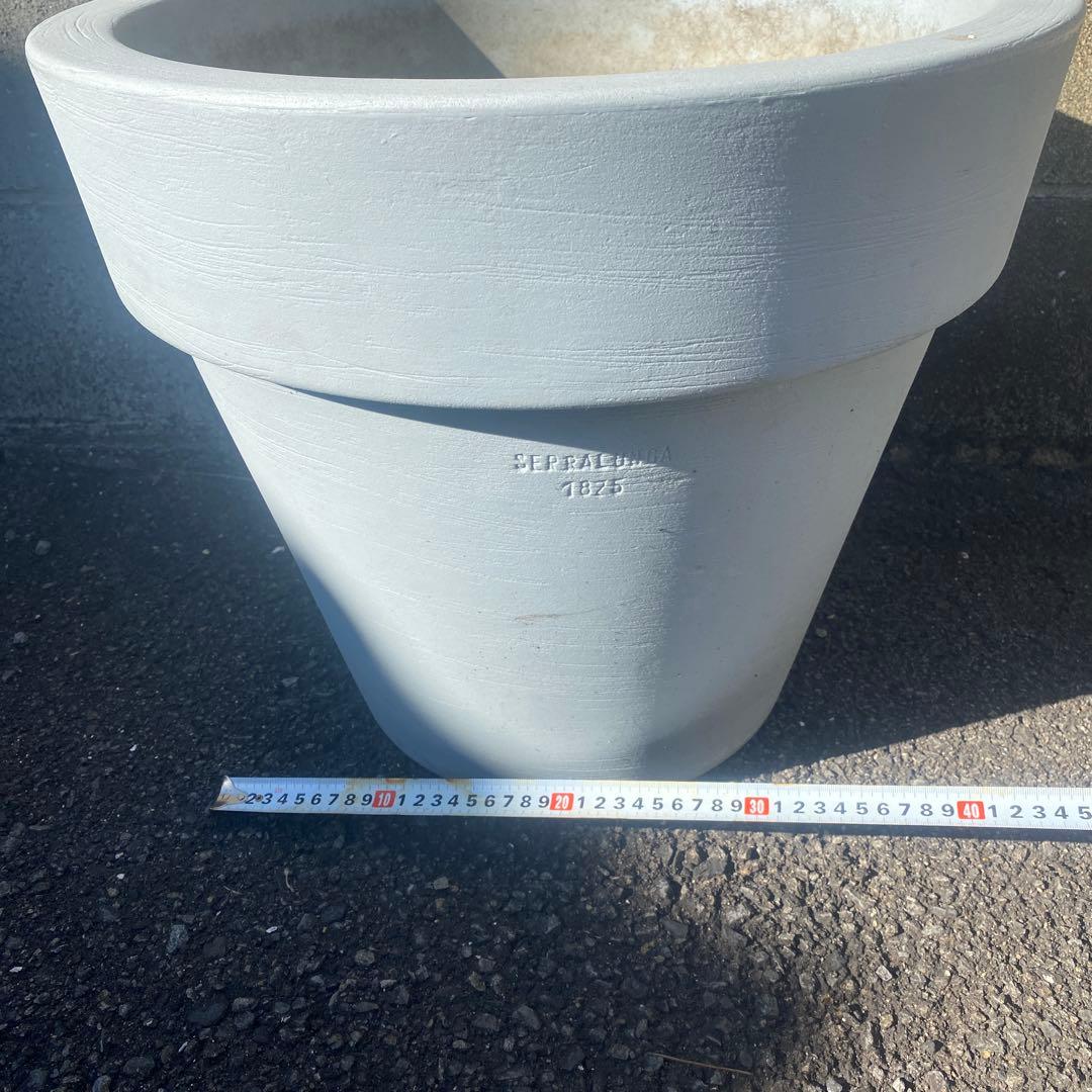 SERRALUNGA セラルンガ　　鉢　インテリア　観葉植物