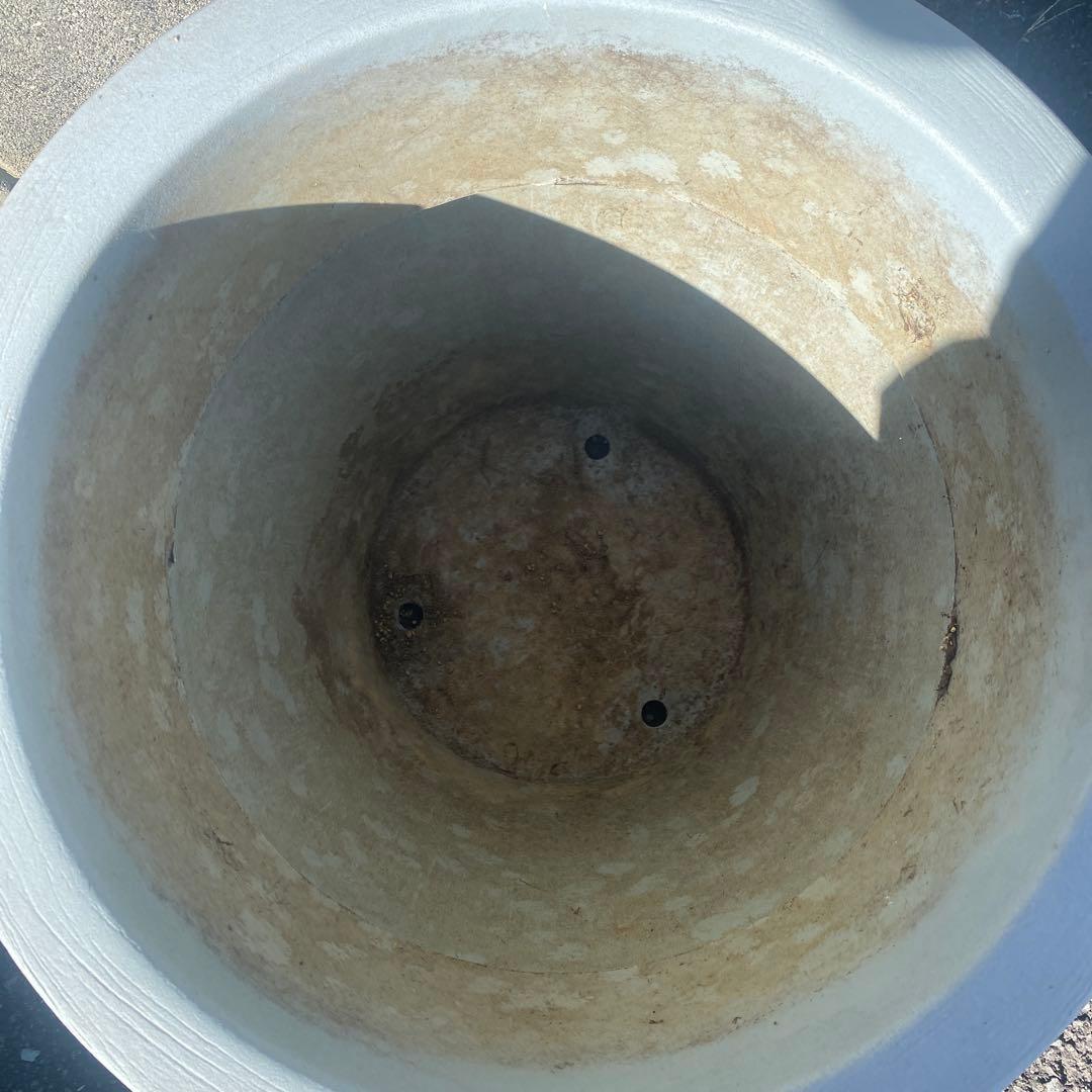 SERRALUNGA セラルンガ　　鉢　インテリア　観葉植物