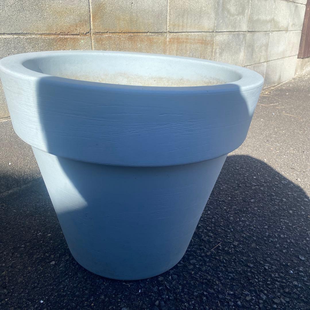 SERRALUNGA セラルンガ　　鉢　インテリア　観葉植物