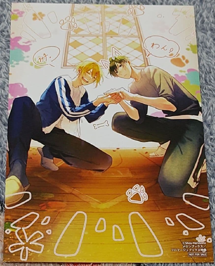佐々木と宮野　平野と鍵浦　たまらないのは恋なのか　世界一初恋　純情ロマンチカ