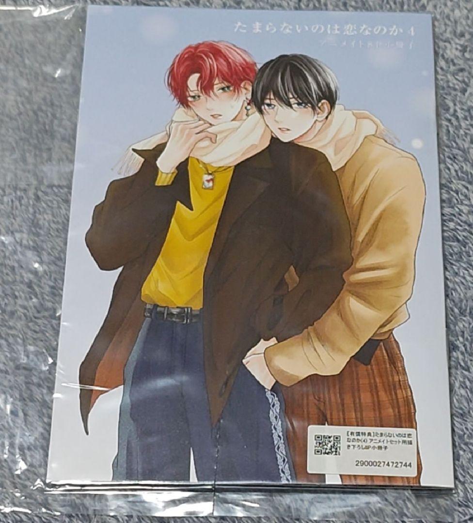 佐々木と宮野　平野と鍵浦　たまらないのは恋なのか　世界一初恋　純情ロマンチカ