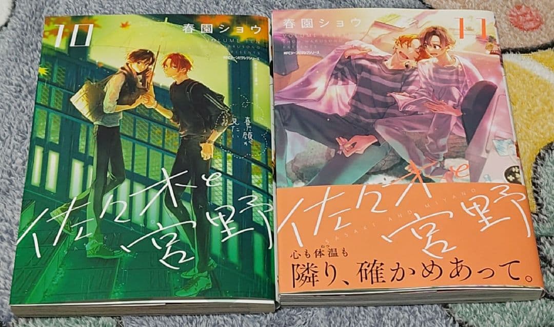 佐々木と宮野　平野と鍵浦　たまらないのは恋なのか　世界一初恋　純情ロマンチカ