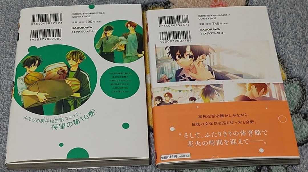 佐々木と宮野　平野と鍵浦　たまらないのは恋なのか　世界一初恋　純情ロマンチカ