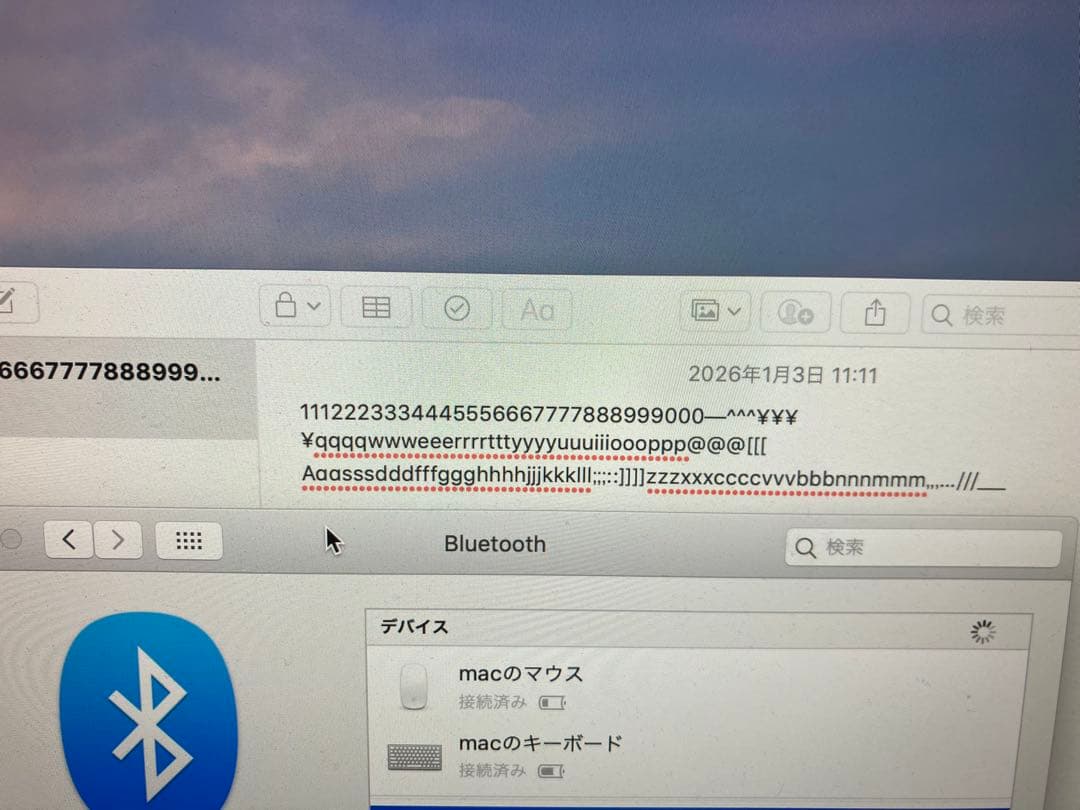 Apple純正Magicキーボード、mouseセット