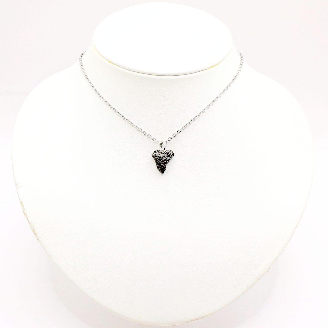 シホテアリニ隕石 ペンダントトップ meteorite160