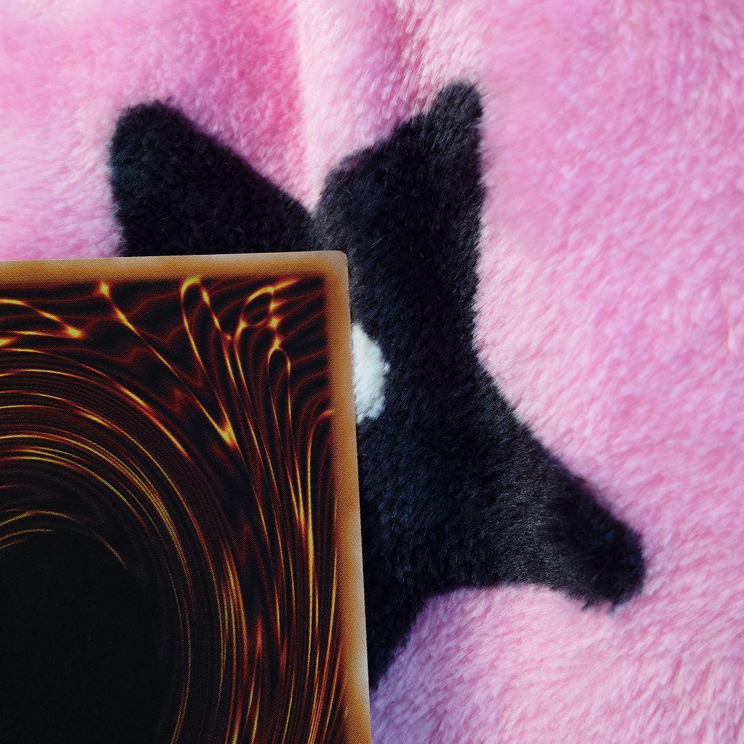 遊戯王　王のしもべ ブラック•マジシャン　プリズマティックシークレットレア