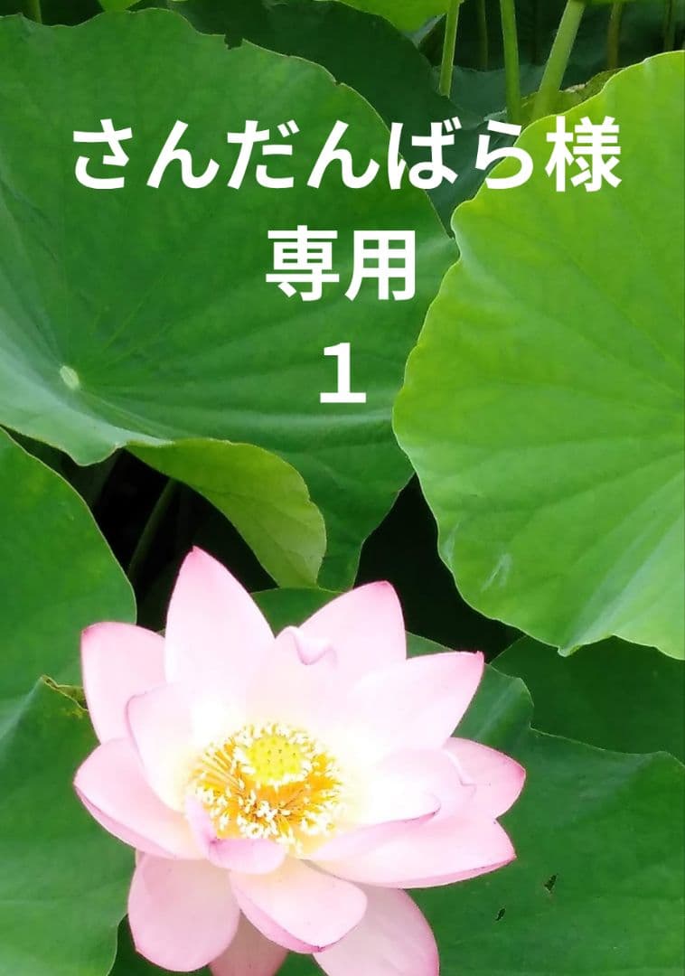 さんだんばら　１