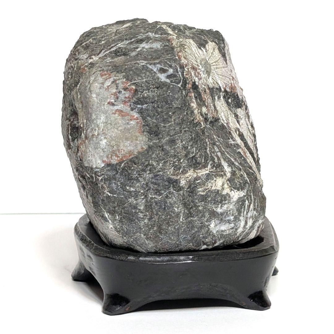 菊花石　鑑賞石　天然石　オブジェ　置物