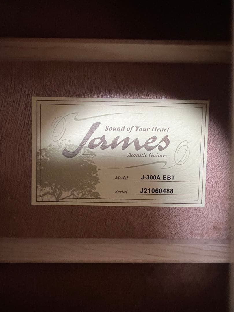 James J-300A BBT アコースティックギター