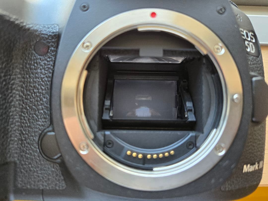 Canon EOS 5D Mark Ⅲ デジタル一眼レフ レンズ、ストロボ付属