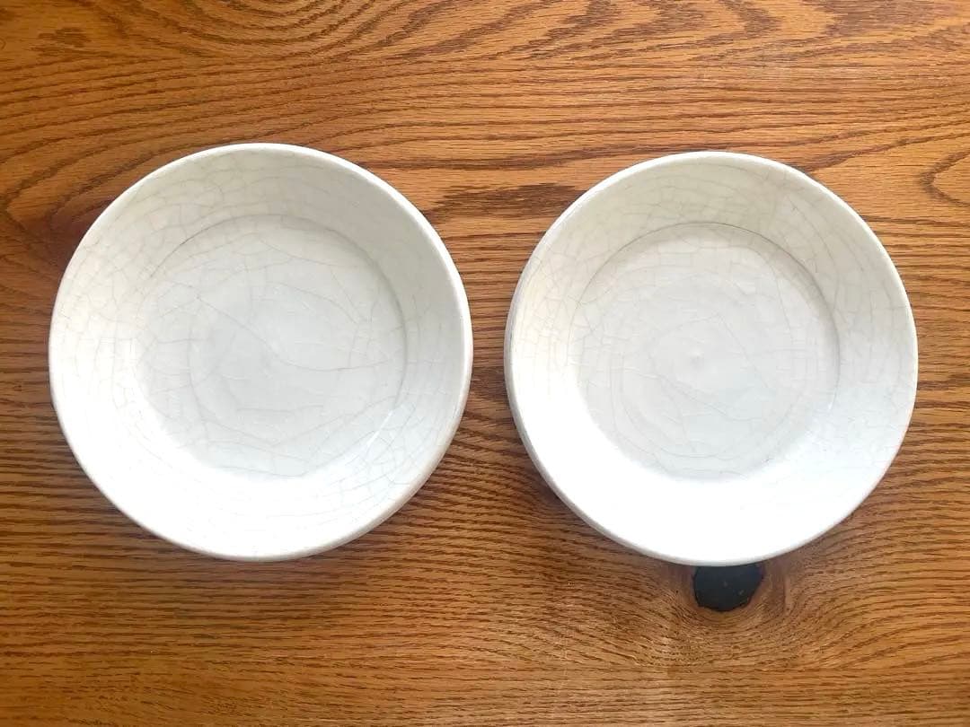 【最終】未使用品　谷口竜　7寸皿　ペア　器　作家　陶芸　茶器　酒器　うつわ　希少