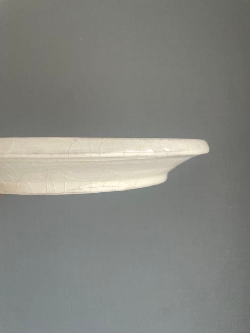 【最終】未使用品　谷口竜　7寸皿　ペア　器　作家　陶芸　茶器　酒器　うつわ　希少